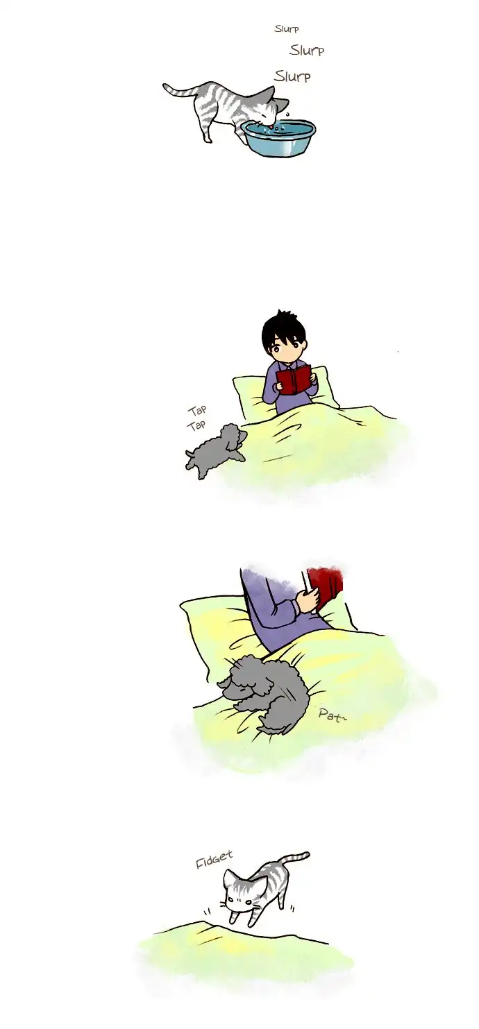 My Young Cat and My Old Dog Chapter 41 3